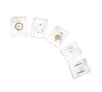 PACKOVE Ensemble de 5 Appareils Pédagogiques à Champ Électrostatique avec Limaille de Fer en Plastique pour Expériences Scientifiques en tudiants