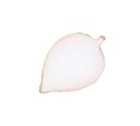 PACKOVE Palette de Manucure en Résine Blanc de Feuille, Facile à Nettoyer, pour Manucure et Affichage des Œuvres Nail Art