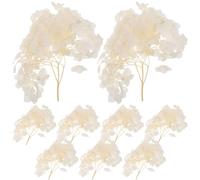 PACKOVE Pétales D'hortensia Séchés Beige pour Décoration Vintage Mariage et Centre de Table, Fleurs Naturelles Préservées pour Usage Polyvalent, Set 1 Pièce