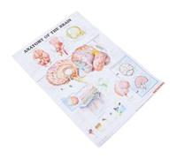 PACKOVE Poster Anatomique Corps Humain Affiche Murale Médicale Claire et Éducative Chartre Anatomie du Cerveau pour École Laboratoire et Bureau