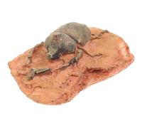 PACKOVE Spécimen Paléontologique D’insecte Collection et L’enseignement, Décor Scientifique Compact et Léger, Matériau Sûr pour Fossile D’ornement Éducatif Collecte