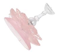 PACKOVE Support D'entraînement Facile à Utiliser pour Rose Design Cerisier Irisé pour Ongles en Plastique pour Débutants en Manucure à Domicile ou Usage Professionnel