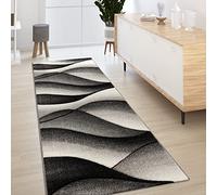 Paco Home Tapis De Créateur Moderne Abstrait Vagues Effet Contours en Gris Anthracite, Dimension:60x110 cm