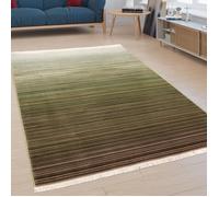 Paco Home Tapis De Créateur, Tapis À Poils Ras Pour Salon, Avec Dégradé de Couleurs, Vert 160x230 cm