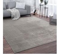 Paco Home Tapis De Salon Poils Ras Lavable Monochrome Style Moderne Gris Gris 300x400 cm