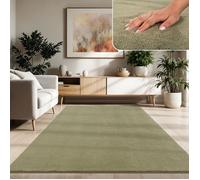 Paco Home Tapis De Salon Poils Ras Lavable Monochrome Style Moderne Vert Vert 160x220 cm
