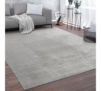 Paco Home Tapis De Salon Tapis Poils Ras Lavable Design Monochrome Moderne Doux Argent, Dimension:100x200 cm