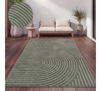 Paco Home Tapis Exterieur Terrasse Salon Cuisine Motif Scandinave Motif Boho Uni, Dimension:240x340 cm, Couleur:Vert 3