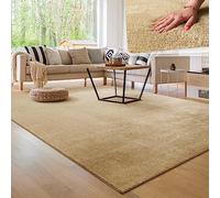 Paco Home Tapis Moderne Doux Salon À Poils Courts Lavable Fluffy Uni Effet Fourrure Intemporel Élégant Antidérapant Facile À Entretenir, Dimension:80x150 cm, Couleur:Beige