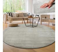 Paco Home Tapis Moderne Doux Salon À Poils Courts Lavable Fluffy Uni Effet Fourrure Intemporel Élégant Antidérapant Facile À Entretenir, Dimension:80 cm Rond, Couleur:Argent