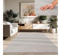 Paco Home Tapis Moderne Doux Salon À Poils Courts Lavable Fluffy Uni Effet Fourrure Intemporel Élégant Antidérapant Facile À Entretenir, Dimension:160x220 cm, Couleur:Argent