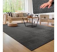 Paco Home Tapis Moderne Doux Salon À Poils Courts Lavable Fluffy Uni Effet Fourrure Intemporel Élégant Antidérapant Facile À Entretenir, Dimension:300x400 cm, Couleur:Anthracite