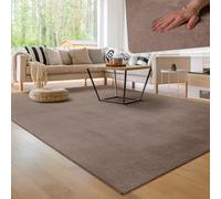 Paco Home Tapis Moderne Doux Salon À Poils Courts Lavable Fluffy Uni Effet Fourrure Intemporel Élégant Antidérapant Facile À Entretenir, Dimension:200 cm carré, Couleur:Taupe