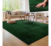 Paco Home Tapis Moderne Doux Salon À Poils Courts Lavable Fluffy Uni Effet Fourrure Intemporel Élégant Antidérapant Facile À Entretenir, Dimension:60x100 cm, Couleur:Vert