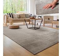 Paco Home Tapis Moderne Doux Salon À Poils Courts Lavable Fluffy Uni Effet Fourrure Intemporel Élégant Antidérapant Facile À Entretenir, Dimension:200x280 cm, Couleur:Gris