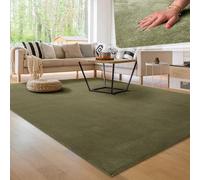 Paco Home Tapis Moderne Doux Salon À Poils Courts Lavable Fluffy Uni Effet Fourrure Intemporel Élégant Antidérapant Facile À Entretenir, Dimension:80x150 cm, Couleur:Vert Clair