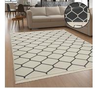 Paco Home Tapis Salon Adulte Lavable En Machine Scandinave Boho Franges Anthracite Crème 140x200 cm