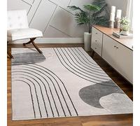 Paco Home Tapis Salon Chambre à Coucher Moderne Floral Brillant Motif Palmier Design Floral Géométrique Effet Haute Profondeur 3D, Dimension:120x160 cm, Couleur:Gris 4