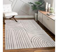 Paco Home Tapis Salon Chambre à Coucher Moderne Floral Brillant Motif Palmier Design Floral Géométrique Effet Haute Profondeur 3D, Dimension:120x160 cm, Couleur:Gris 3