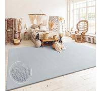 Paco Home Tapis Salon Chambre Adulte Poils Ras Boho Motif Scandinave Uni, Dimension:80x150 cm, Couleur:Gris