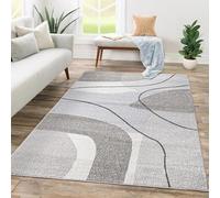 Paco Home Tapis Salon Chambre Adulte Poils Ras Motif Abstrait Motif Geometrique Vagues, Dimension:120x170 cm, Couleur:Beige