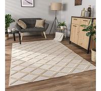 Paco Home Tapis Salon Chambre Adulte Poils Ras Motif Boho Motif Scandinave 3D Moderne, Dimension:160x220 cm, Couleur:Beige