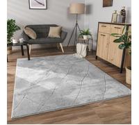 Paco Home Tapis Salon Chambre Adulte Poils Ras Motif Boho Motif Scandinave 3D Moderne, Dimension:120x160 cm, Couleur:Gris 2