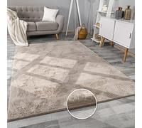 Paco Home Tapis Salon Fausses Fourrures Doux Lavable Moderne Élégant Facile À Entretenir Effet Fourrure Uni Brillant Douillet À Poils Courts, Dimension:240x340 cm, Couleur:Beige