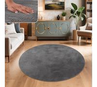 Paco Home Tapis Salon Fausses Fourrures Doux Lavable Moderne Élégant Facile À Entretenir Effet Fourrure Uni Brillant Douillet À Poils Courts, Dimension:160 cm Rond, Couleur:Anthracite