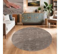 Paco Home Tapis Salon Fausses Fourrures Doux Lavable Moderne Élégant Facile À Entretenir Effet Fourrure Uni Brillant Douillet À Poils Courts, Dimension:120 cm Rond, Couleur:Taupe
