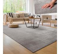 Paco Home Tapis Salon Moelleux Ultra Doux à Poils Courts - Antidérapant, Lavable, Confort Idéal pour Salon et Chambre, Dimension:300x400 cm, Couleur:Gris