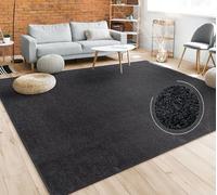 Paco Home Tapis Salon Uni Sobre Et Moderne Poils Ras, Diff. Tailles/Coloris, Dimension:160 cm carré, Couleur:Noir