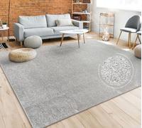 Paco Home Tapis Salon Uni Sobre Et Moderne Poils Ras, Diff. Tailles/Coloris, Dimension:200 cm Rond, Couleur:Argent