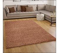Paco Home Tapis Shaggy Longues Mèches en Terre Cuite, Dimension:70x250 cm