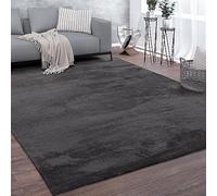 Paco Home Tapis, Tapis À Poils Ras Doux pour Salon, Moelleux, Lavable, Gris Foncé, Dimension:120x170 cm