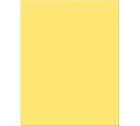 Pacon 5339-1 Lot de 25 feuilles d'affiche enduites lourdes à 18 points, 55,9 x 71,1 cm