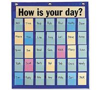 Pacon Tableau de poche comportemental, bleu, 47,7 x 53,3 cm, 1 graphique