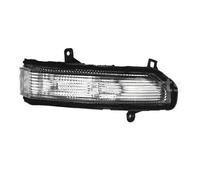 PaCsci Rétroviseur Clignotant Pour LDV Pour Maxus Pour Deliver 9 V90 Rétroviseur Témoin Lumineux Rétro-viseur Clignotant(Right)