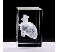 PacuM Modèle d'enseignement, modèle d'assemblage, modèle Anatomique de cœur Humain, modèle Anatomique de cœur Humain 3D, Presse-Papier dans Un Cube en Verre de Cristal, Cadeau Scientifique, orneme