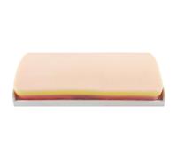 PAD DE PRATIQUE DE SUTURE POUR LES ÉTUDIANTS MÉDICALES PAUTS DE SILICONE SILICONE AVEC TEXTURATION DE TEXTURES SUTURES KIT PRATIQUE DE SUTURAGE MÉDICAL