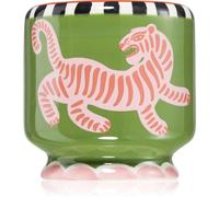 Paddywax A Dopo Tiger bougie parfumée 226 g
