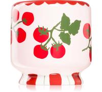Paddywax A Dopo Tomato Vine bougie parfumée 226 g