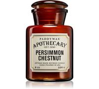 Paddywax Apothecary Persimmon Chestnut Bougie Parfumée 226 G