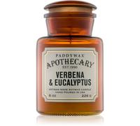 Paddywax Apothecary Verbena & Eucalyptus bougie parfumée 226 g