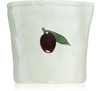 Paddywax Bistro Olive bougie parfumée 226 g