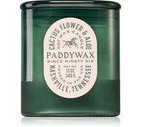 Paddywax Vista Cactus Flower & Aloe bougie parfumée 340 g