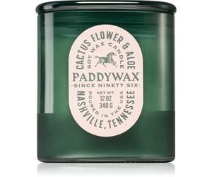 Paddywax Vista Cactus Flower & Aloe bougie parfumée 340 g