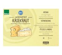 Paederia Lanuginosa Herbe à fromage de qualité bio en pot de 12 cm