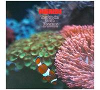 Paerish - You're In Both Dreams (And You're Scared) [Vinyl Lp]