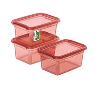 PAFEN 3x Boîte de rangement avec couvercle 1,5l - 19,5x14x9,5cm - Boîtes Rangement Boîtes empilables avec clips de fermeture Boîtes en plastique Boîtes à vêtements Transparent Organizer | Rose